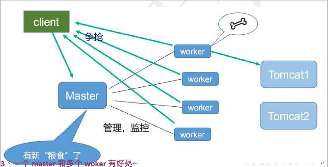 nginx之反向代理、负载均衡、动静分离、高可用集群以及其工作原理