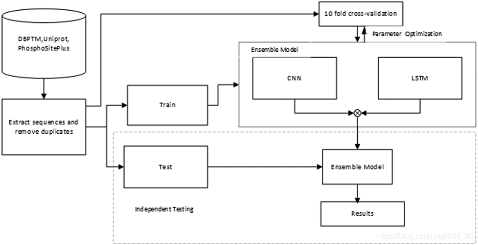 图1：描述创建我们模型的步骤的流程图。从公共数据库中提取序列，并将数据集分为训练集、验证集和测试集。使用10倍交叉验证来优化每个模型的参数，然后使用独立测试来评估模型。CNN:卷积神经网络；LSTM:长期短期记忆
