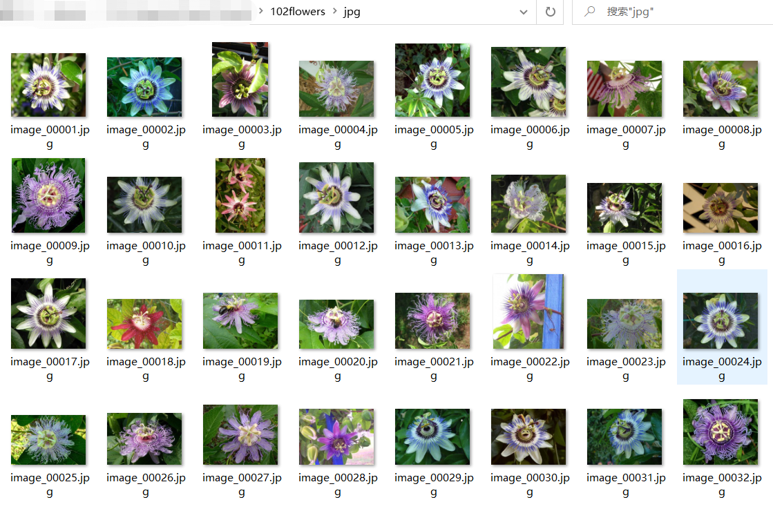 数据集：102 category flower datasetCSDN博客