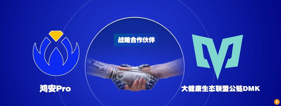 颠覆新业态 引领新国潮 鸿安pro乘风而行 雷电财经的博客 Csdn博客 新加坡鸿安交易所