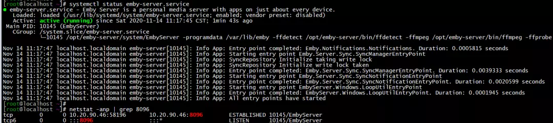 查看emby是否安装成功
