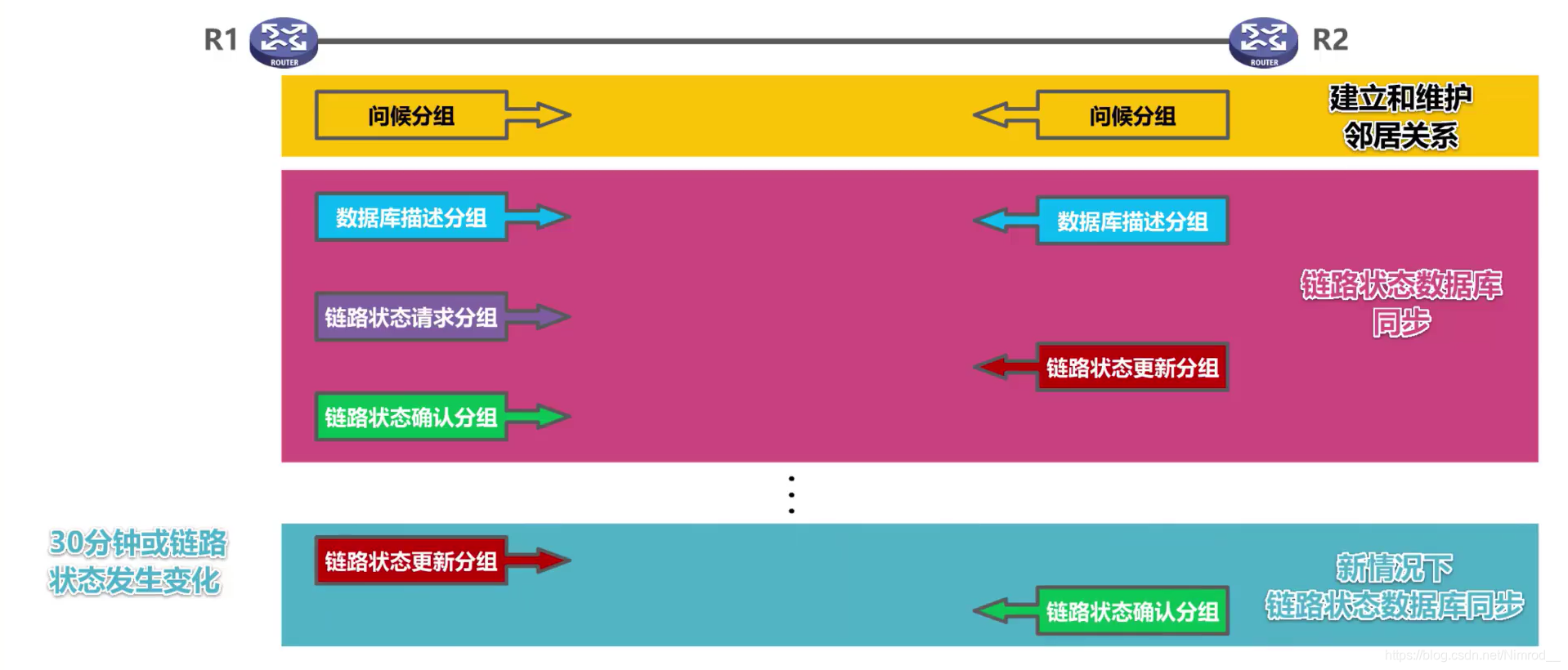 OSPF基本工作过程