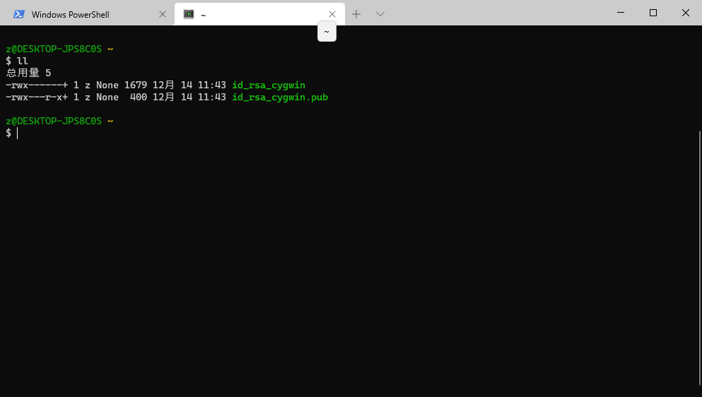 如何将cygwin嵌入windows terminal中_windows terminal设置内嵌CSDN博客