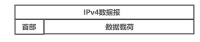 IP数据报举例