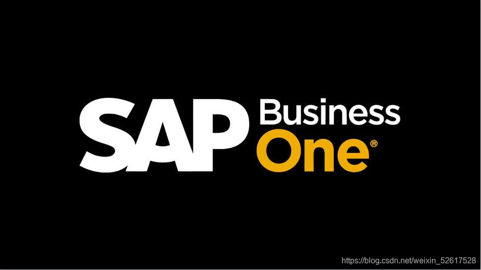 什么是SAP B1、SoH、BWoH?它们之间区别是什么?