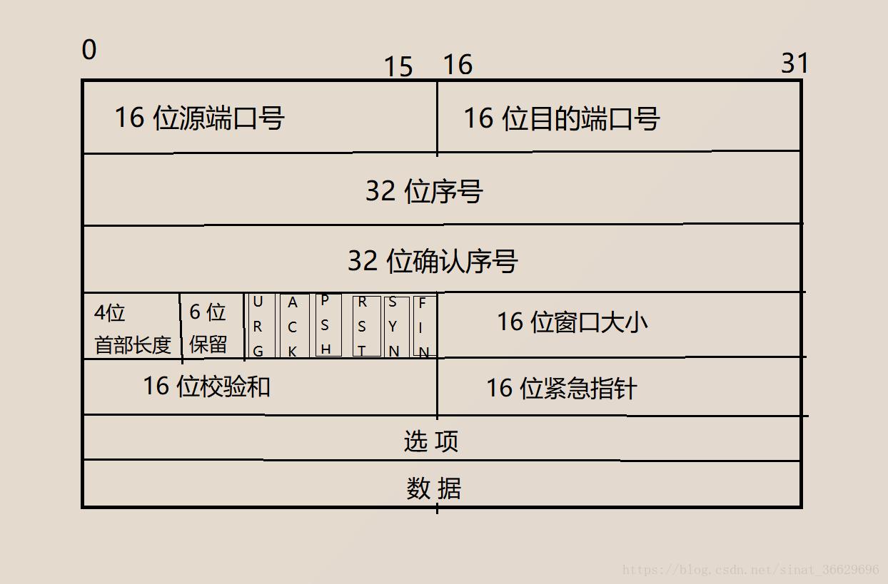 여기에 사진 설명 삽입