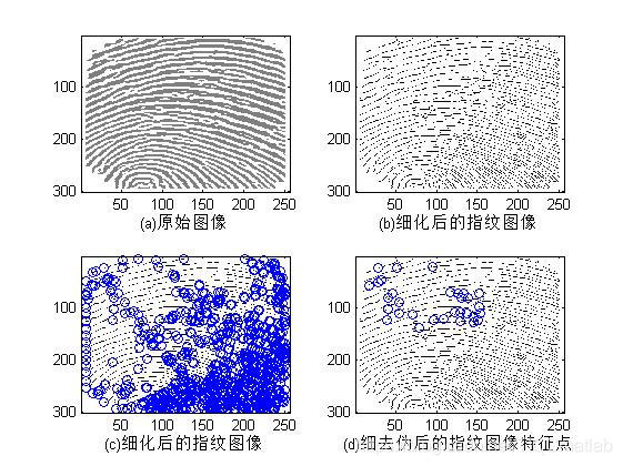 ここに画像の説明を挿入