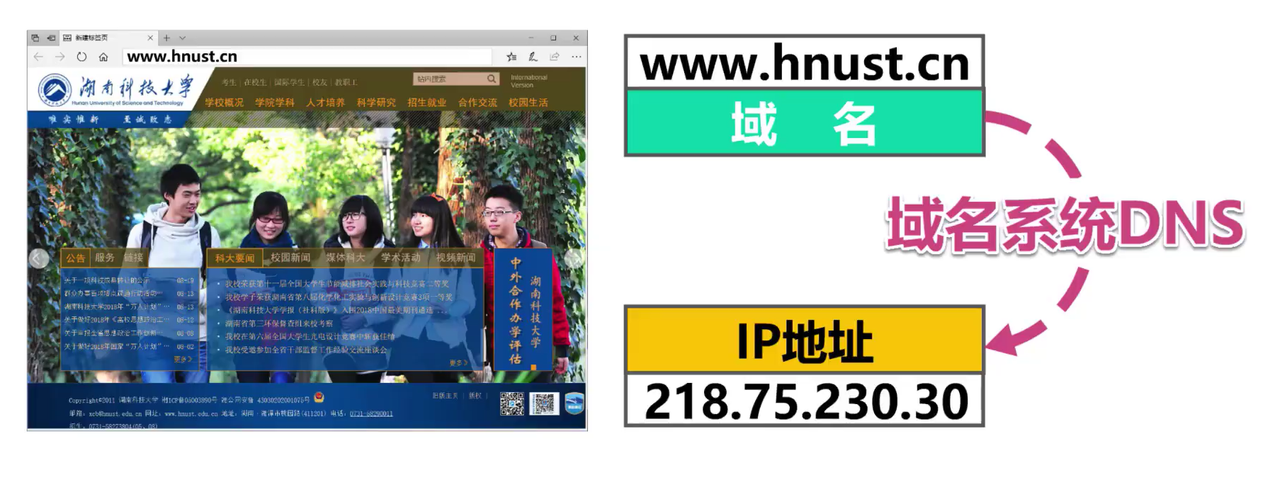 输入域名将网页数据显示在浏览器中