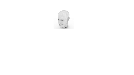 Human head illustration