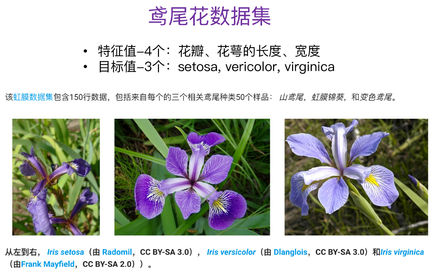 iris也称鸢尾花卉数据集,是一类多重变量分析的数据集