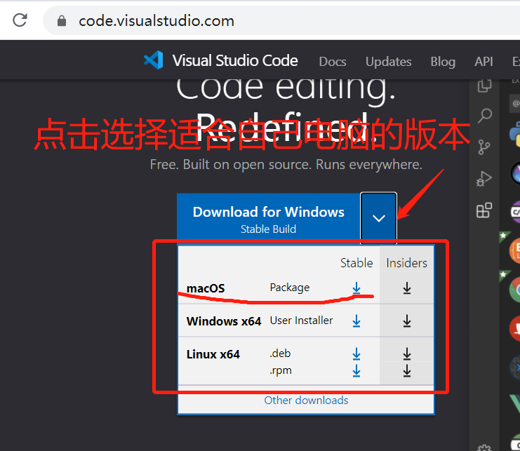 Visual Studio Code 安装教程2021版_visual studio code安装教程-CSDN博客
