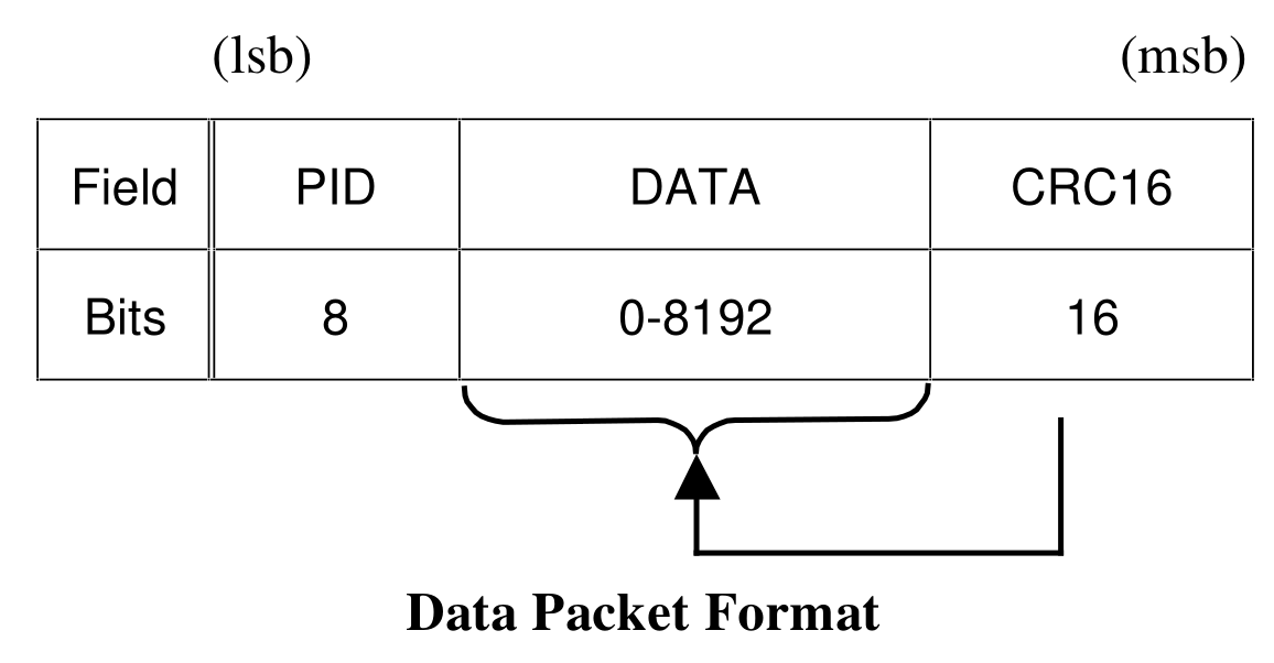 Data Packet Format