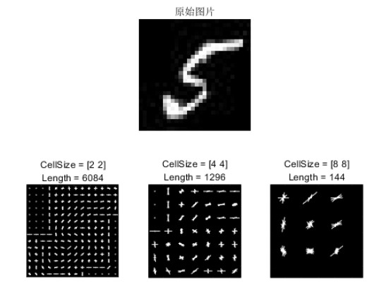 不同尺寸HOG特征