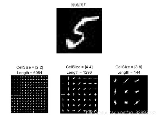 不同尺寸HOG特征