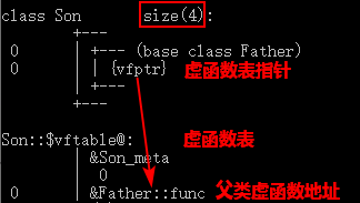 子类未重写父类虚函数时，子类的内部结构