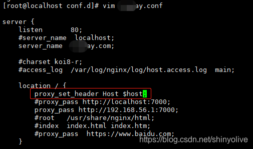 解决nginx反向代理404异常-proxy_set_header Host $host