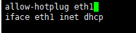 allow-hotplug eth1