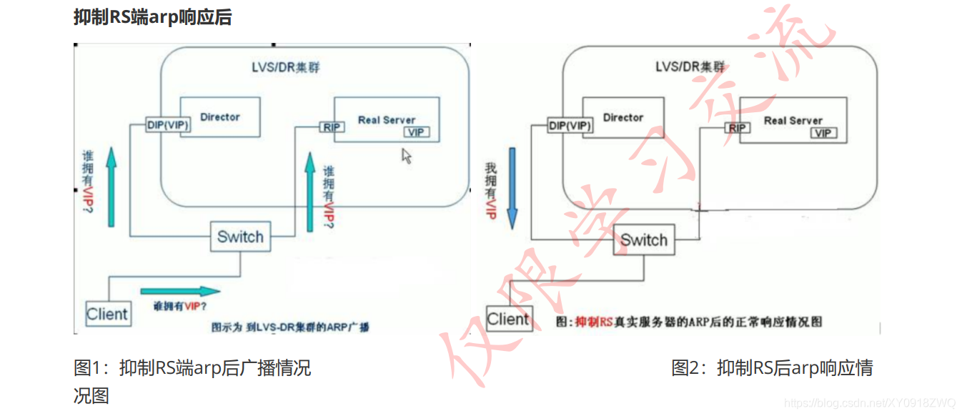 ここに画像の説明を挿入