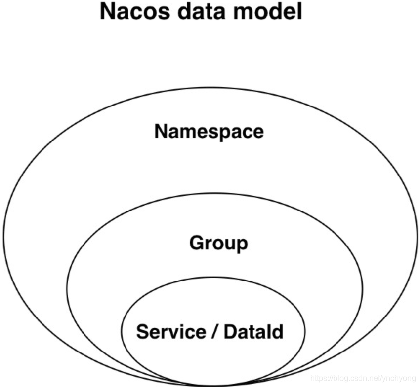 Nacos Data model