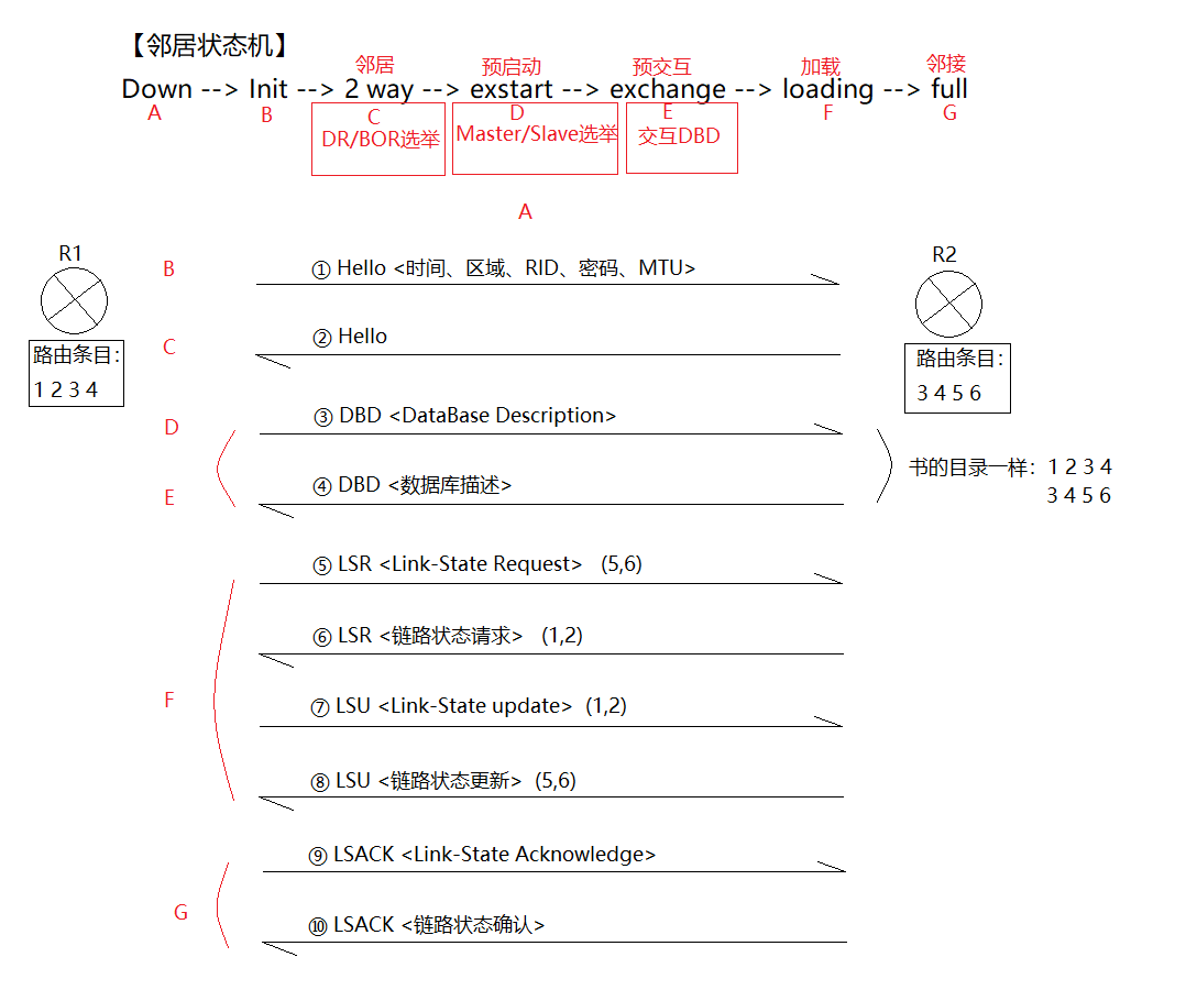 OSPF路由协议_clear ip ospf processCSDN博客
