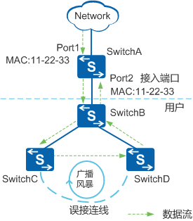 Network diagram of MAC address flapping detection