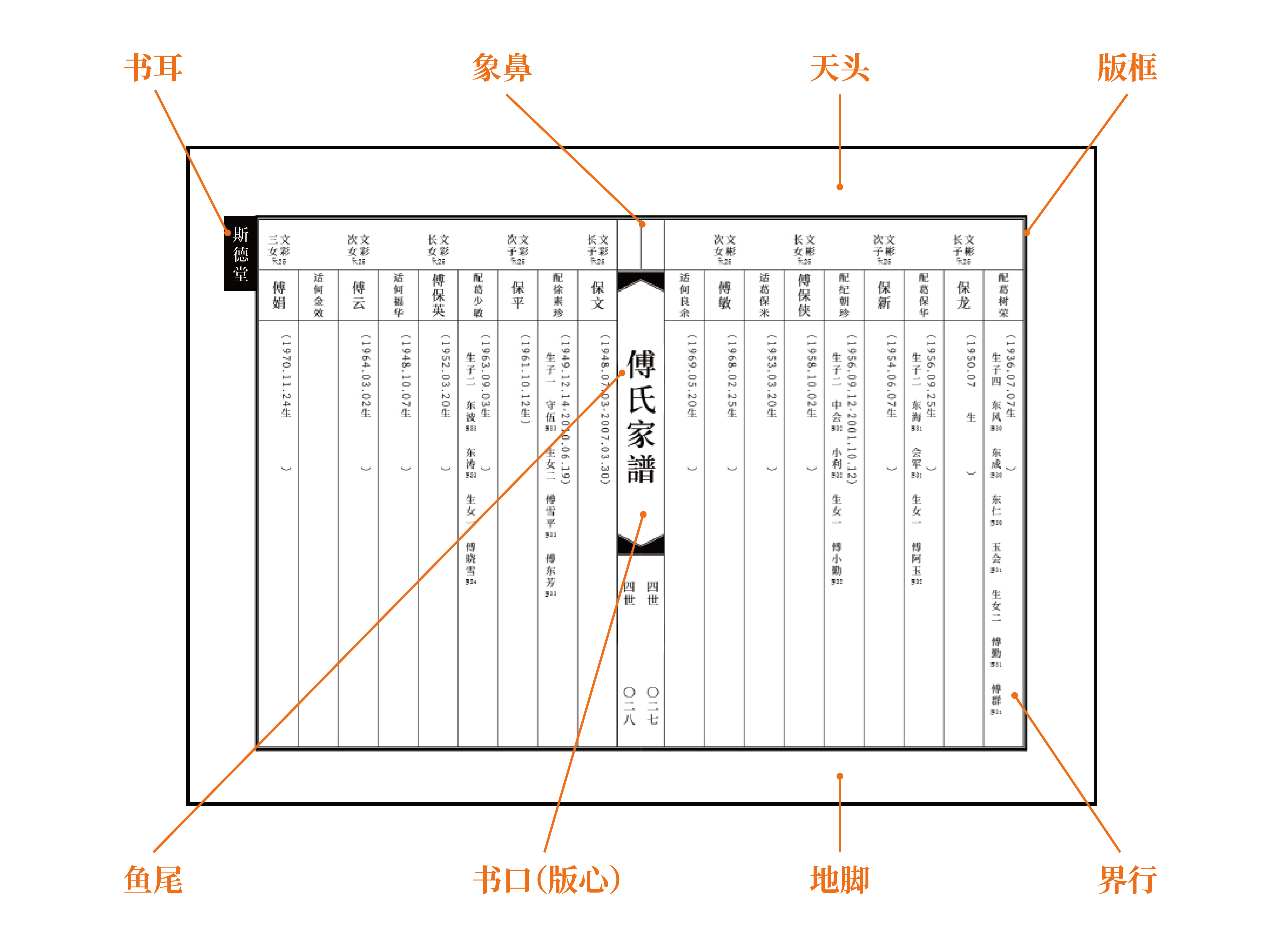 现代家谱样本图片