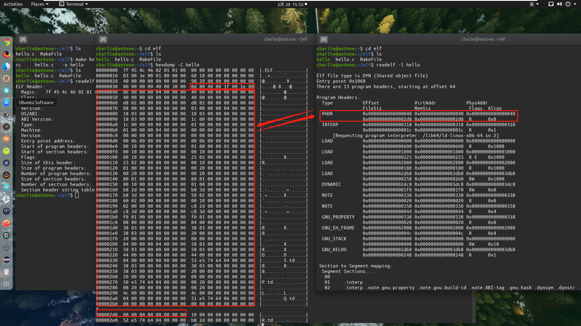 Linux ELF文件_elf.h-CSDN博客