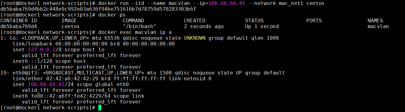 启动虚机并指定IP
