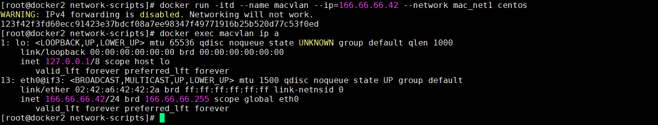 启动虚机并指定IP