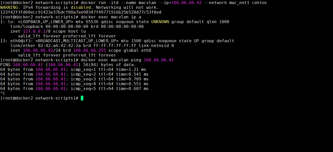 从docker2 ping docker1