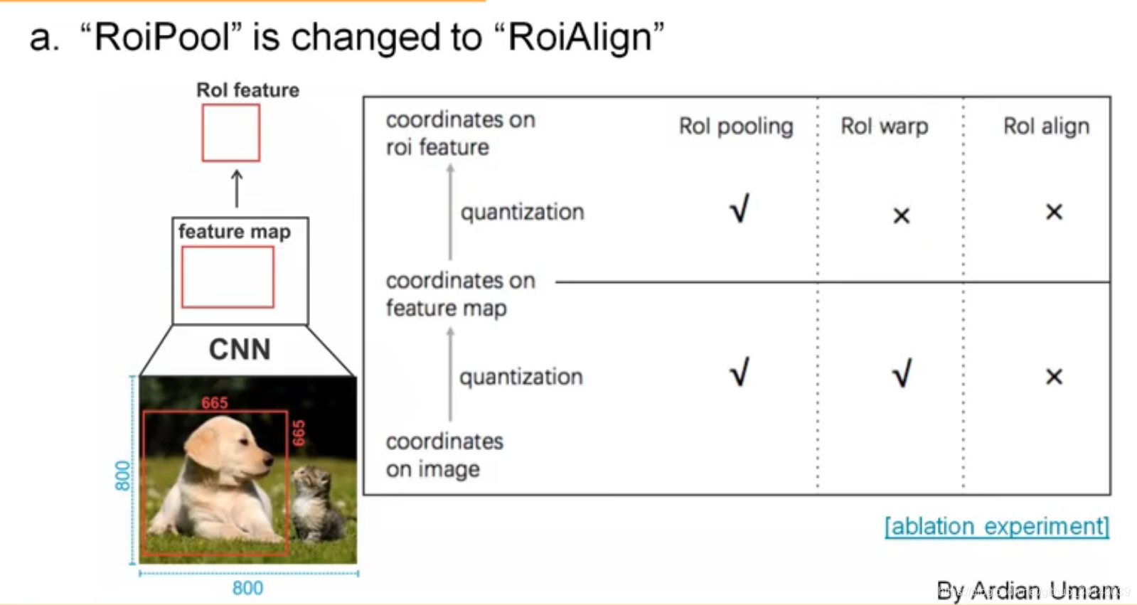 ROI Align的实现原理_roialign-CSDN博客
