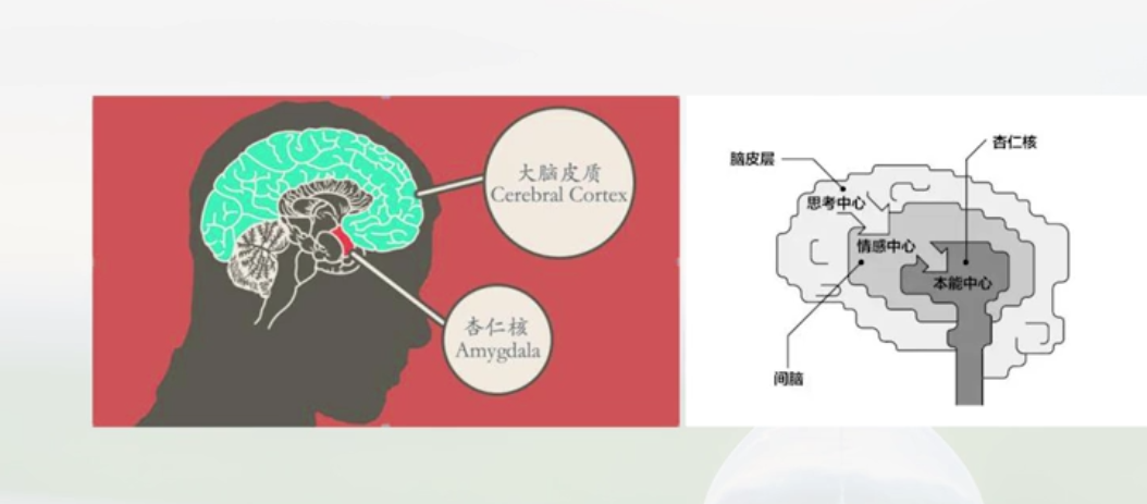 14男性更有攻击性