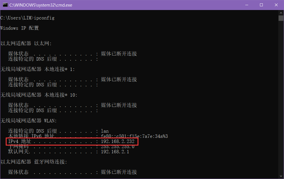 查看 IP