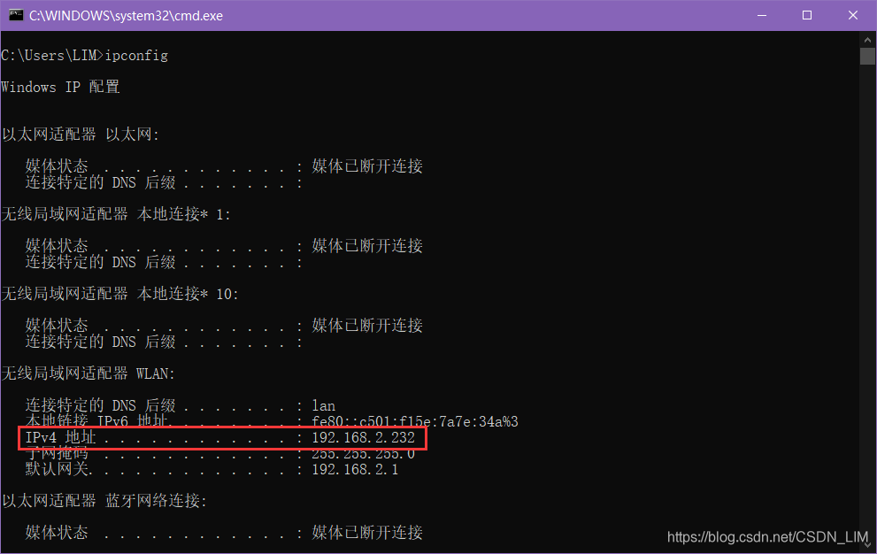 查看 IP