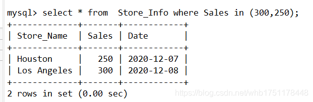 SELECT * FROM Store_Info where Sales IN (300,250);