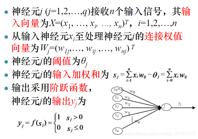 神经元