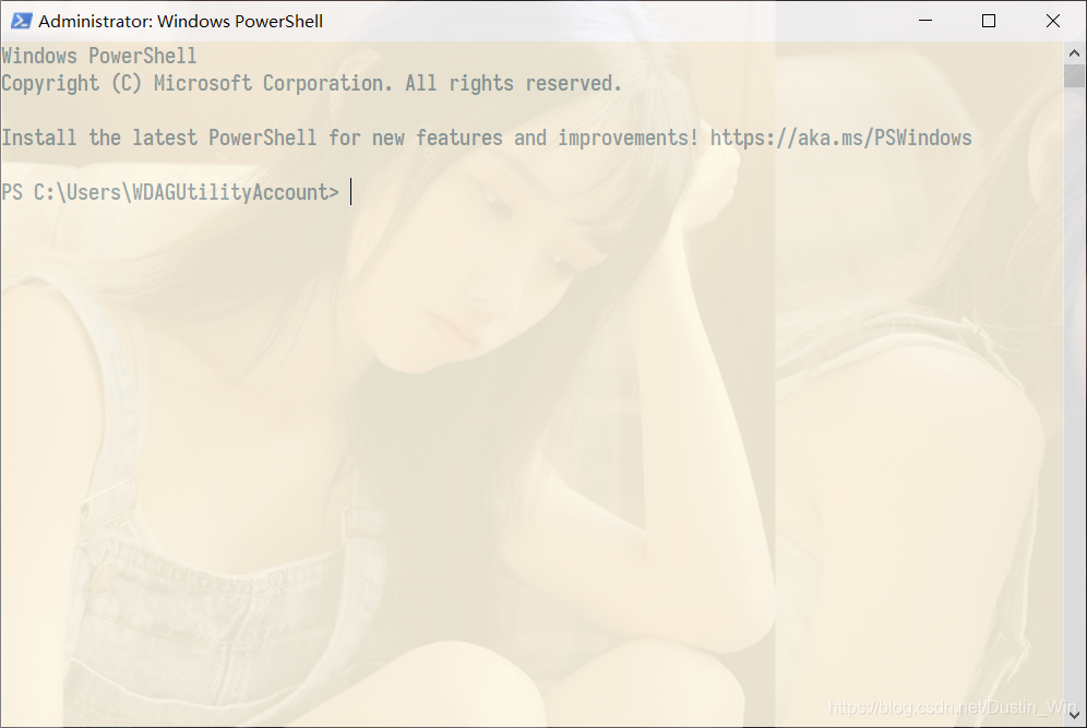 PowerShell 设置生效