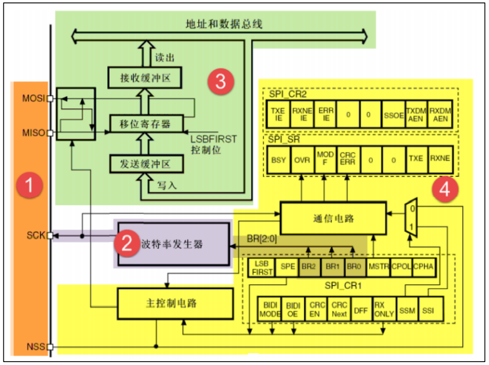 SPI 协议简介