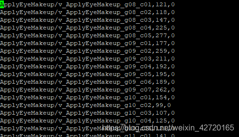 UCF101数据集处理
