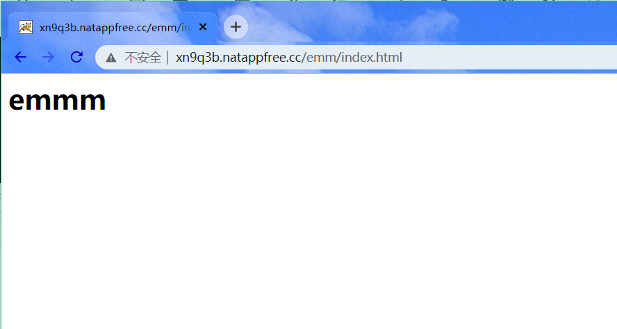 免费展示自己写的HTML给别人看_本地html怎么让别人看到-CSDN博客