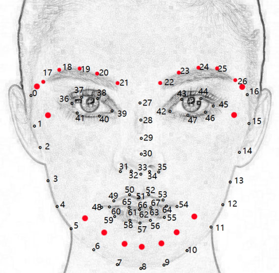 这里并没有选用全部的人脸关键点,目的是缩小范围,方便后续往模板上