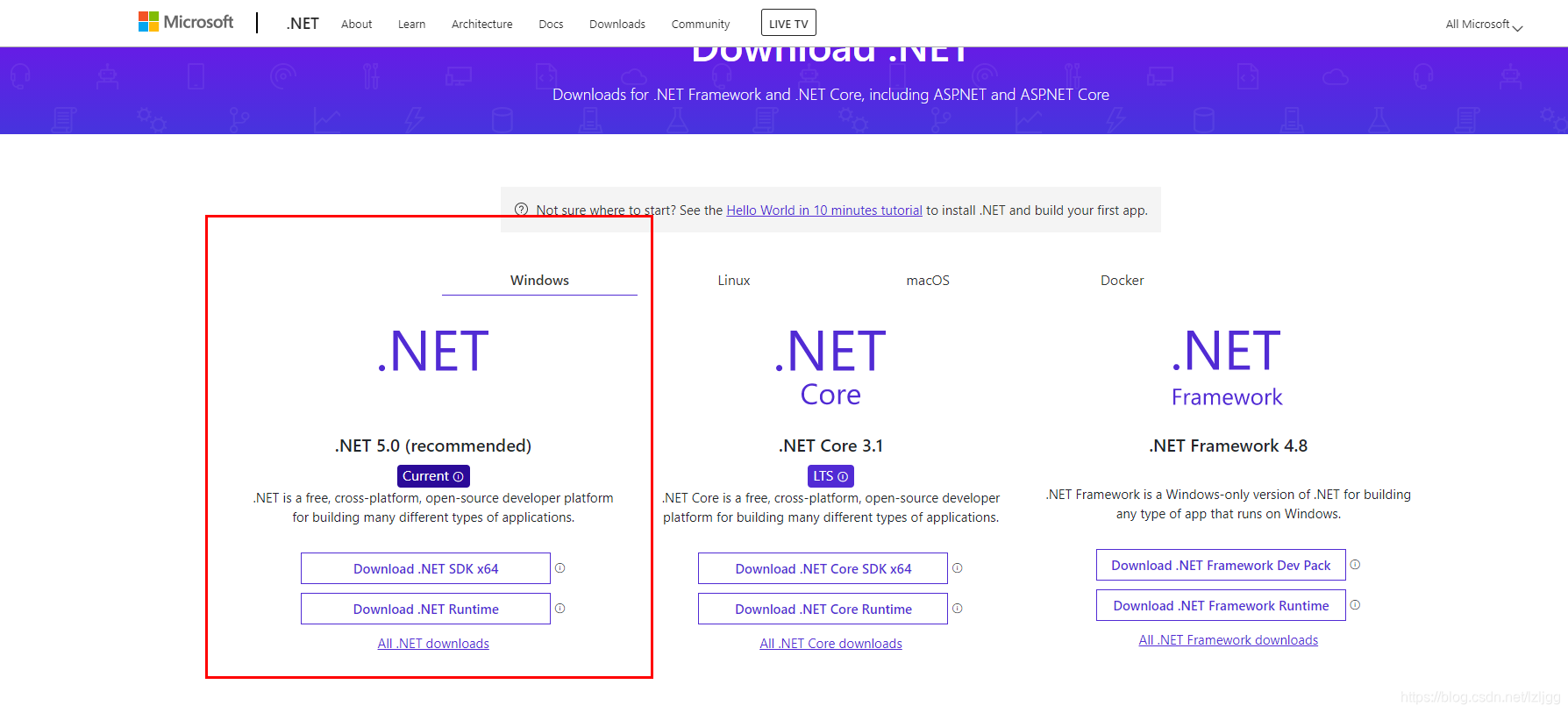 Net54 .NET5 安装使用_windows10如何安装net5-CSDN博客