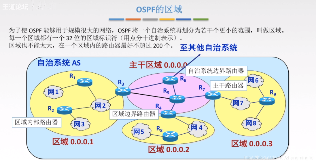 OSPF区域