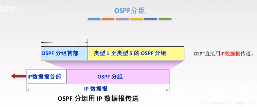 OSPF分组