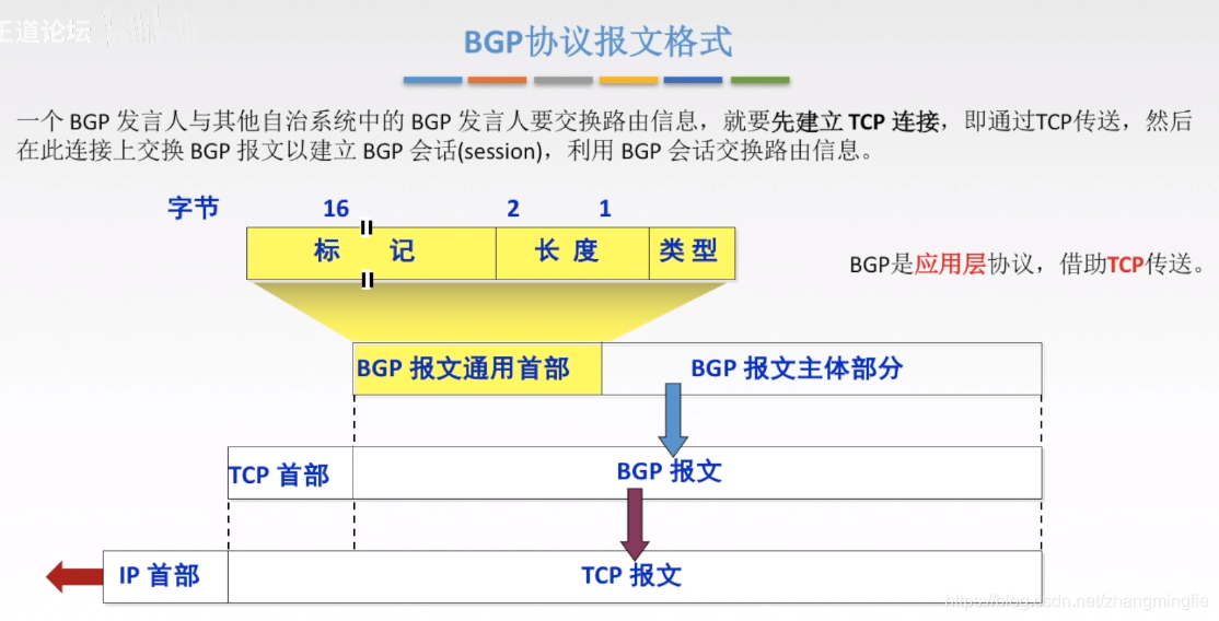 BGP协议报文格式