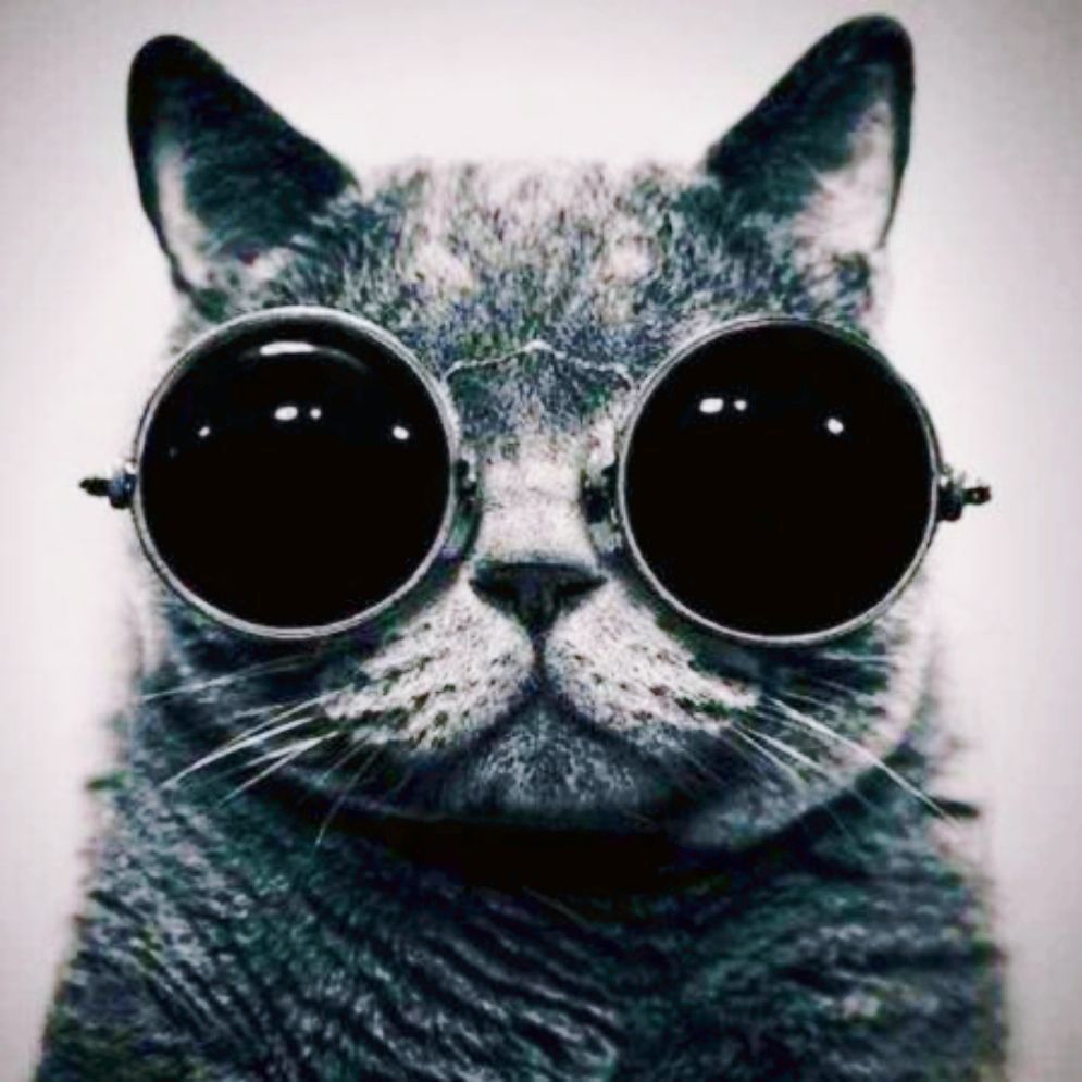 Detail JSON Parse Error Expecting Property Name Enclosed