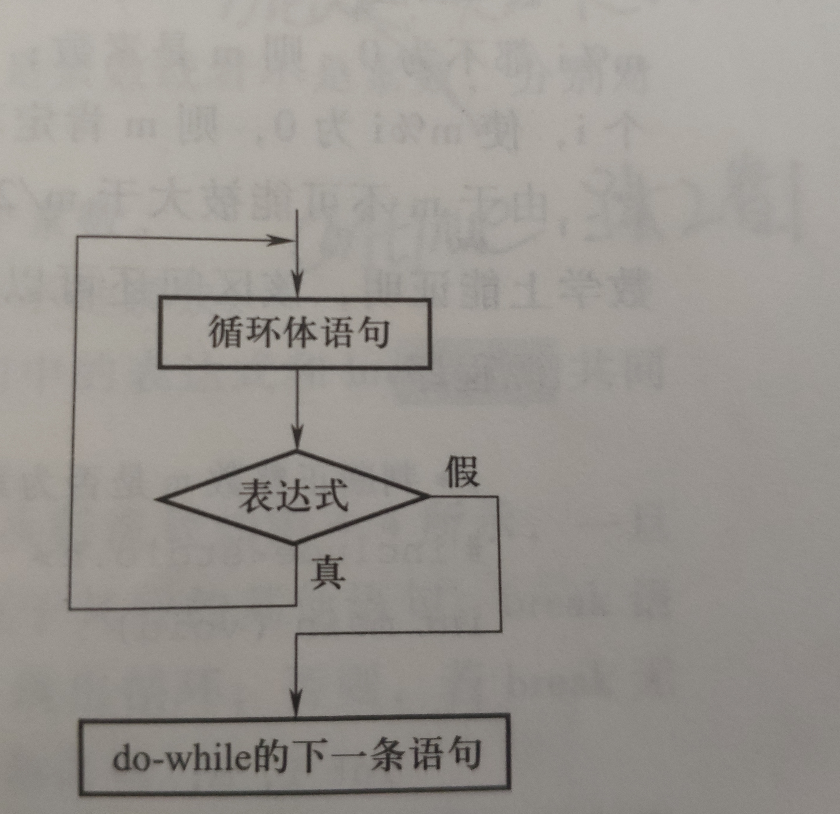 小张张带你0基础学习c语言循环for循环语句while循环语句dowhile循环
