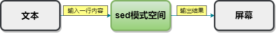 sed从原理到实战