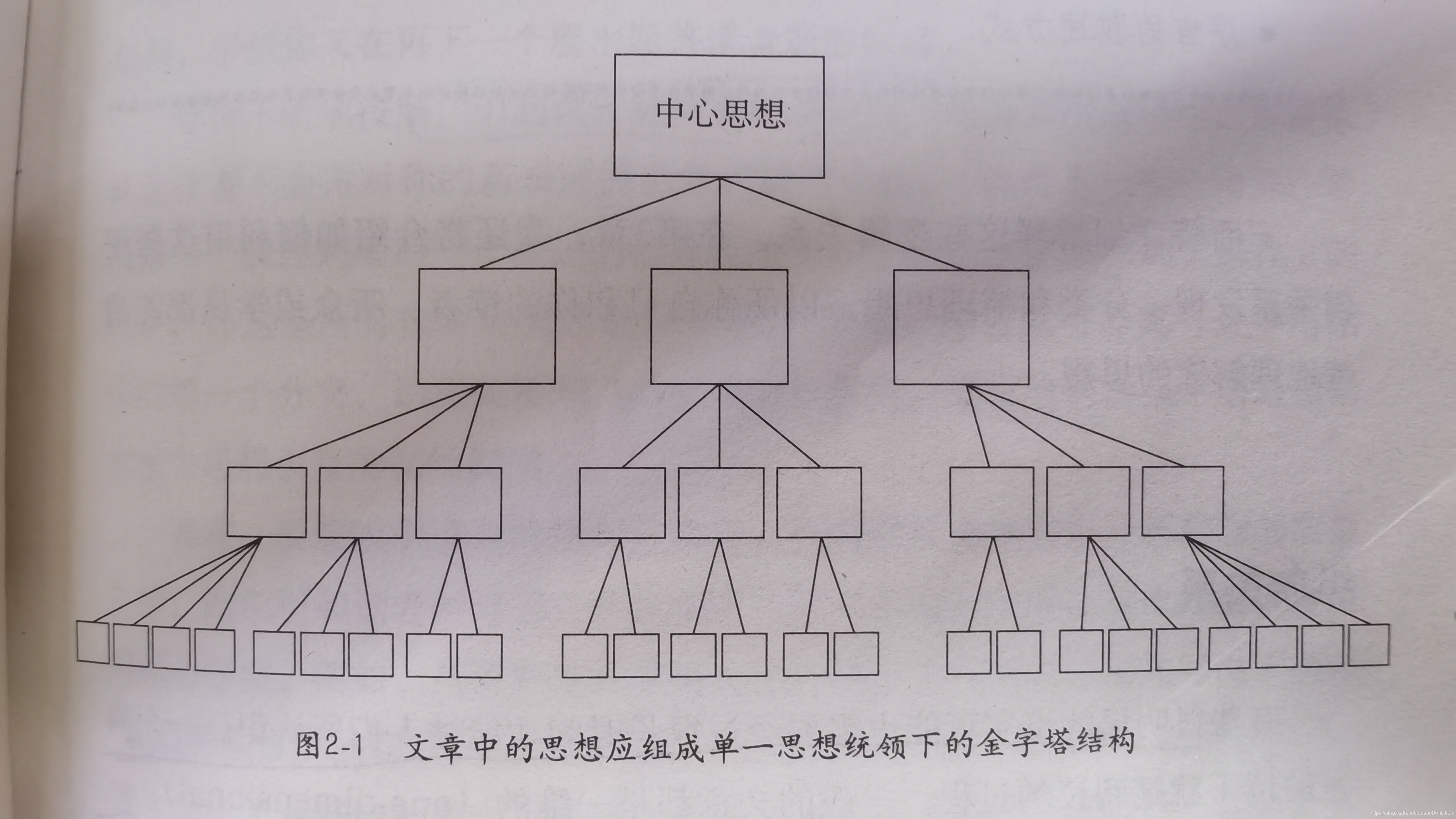 文章中的金字塔结构